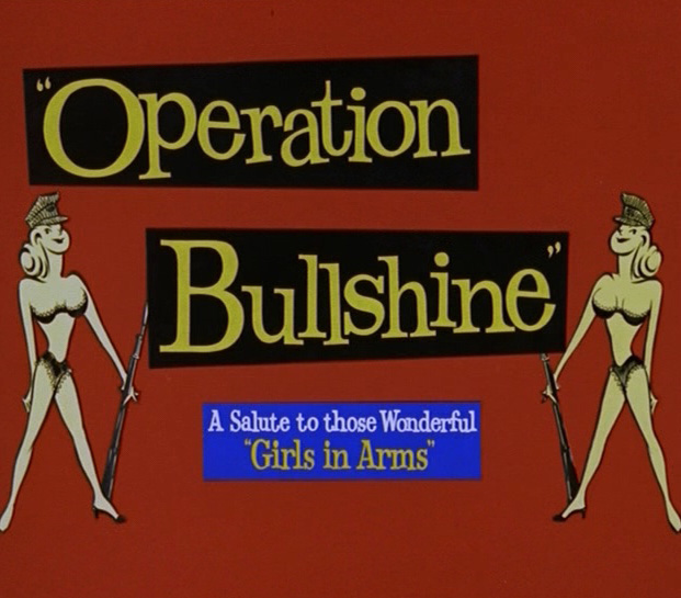 Operation Bullshine Screenshot