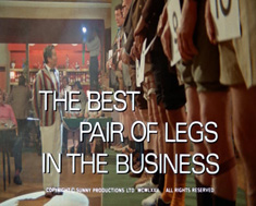 The Best Pair Of Legs In The Business Image