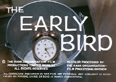 The Early Bird Image