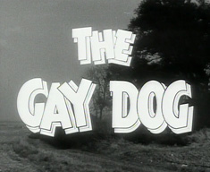 The Gay Dog Image